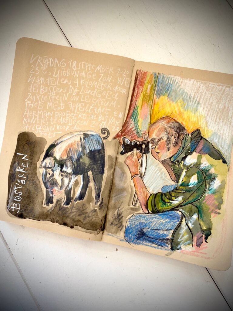 Tekening door Kit Le Large van Herman die een Bosvarken fotografeert